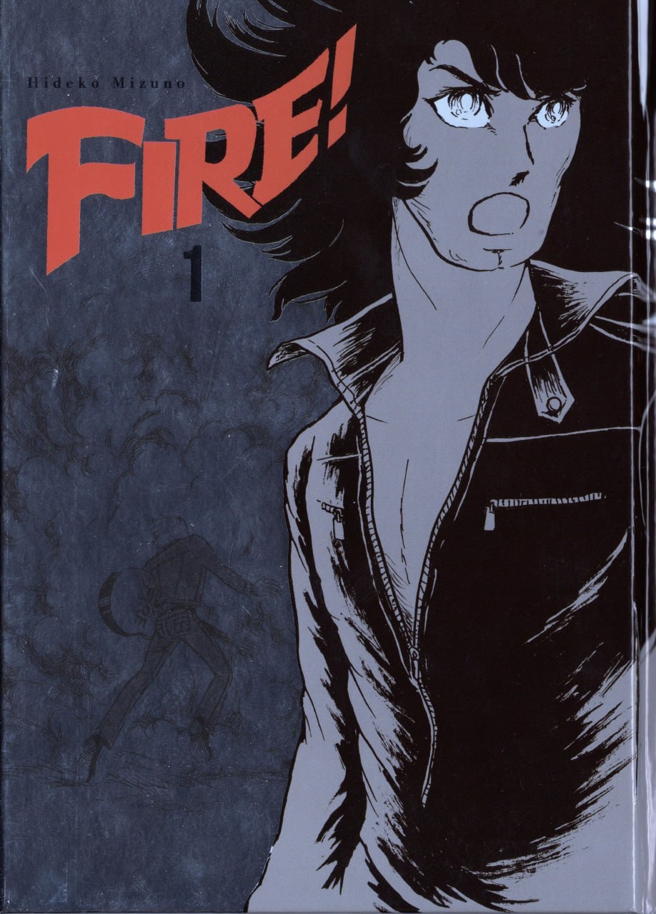 FIRE - EDICION ARECHI MANGA | EDITORIAL BUNGEISHUNJU LTD [ESPAÑOL]